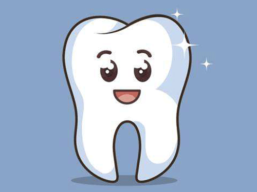 牙齿的结构有哪几部分组成